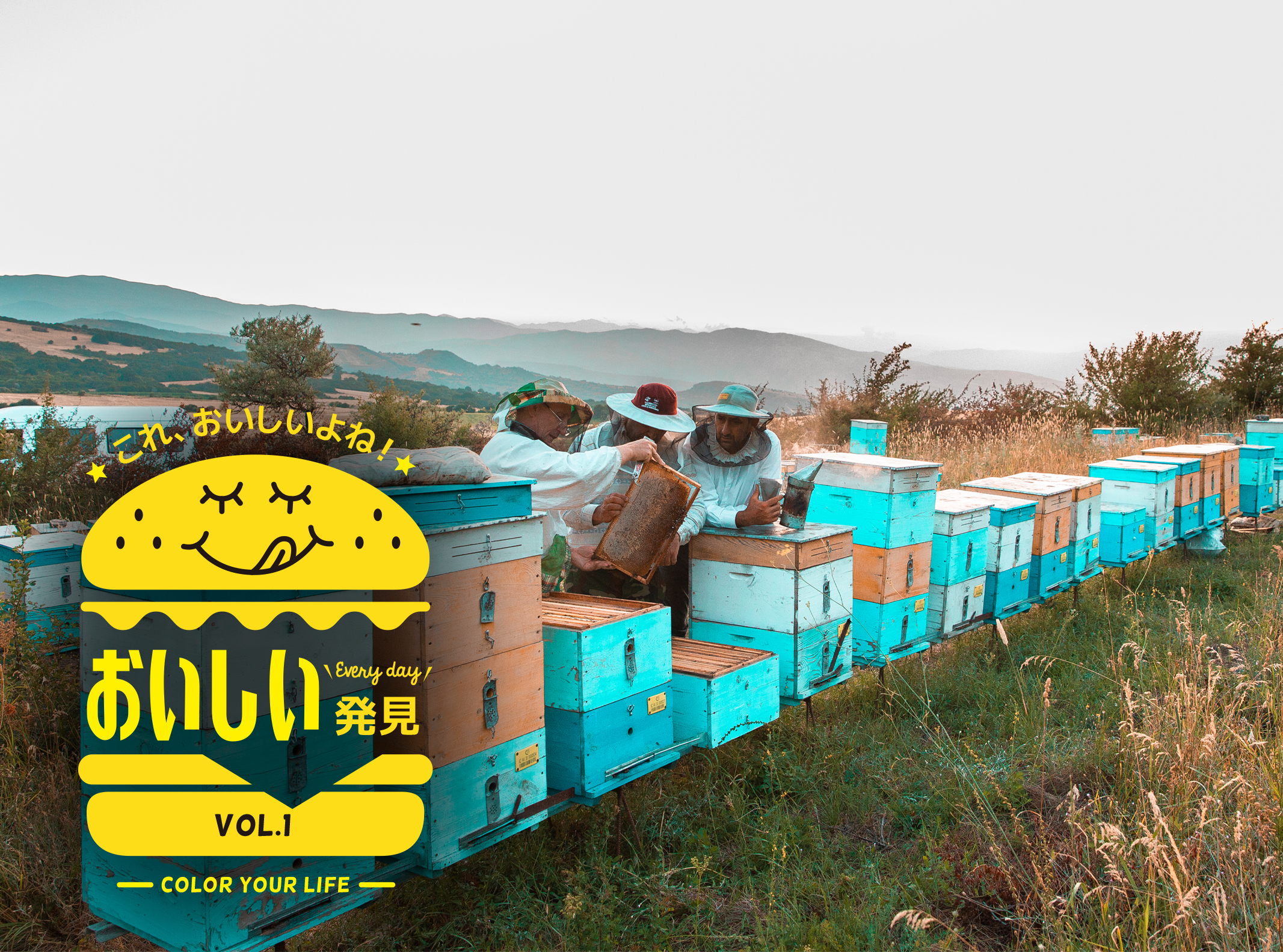 暮らしの美味しい発見